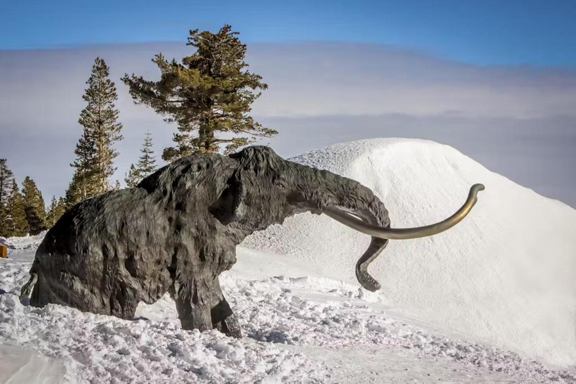 Chamonix 85 Mammoth Lakes Exterior foto